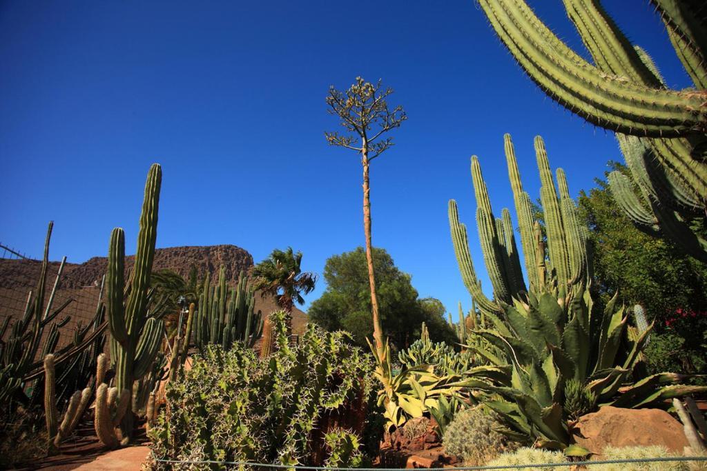 Colorado With Garden #4